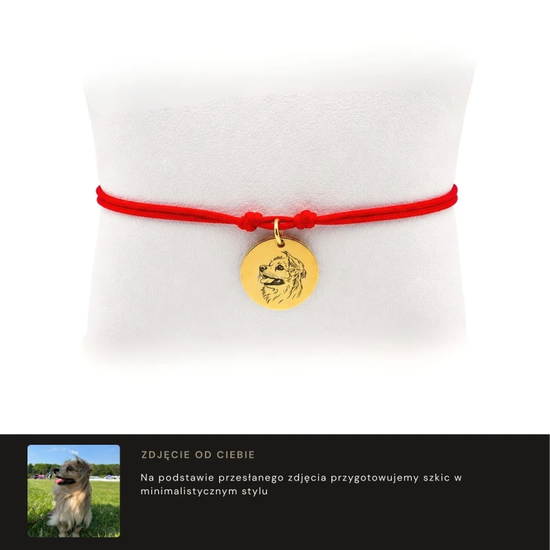 zloty pies real photo.jpg